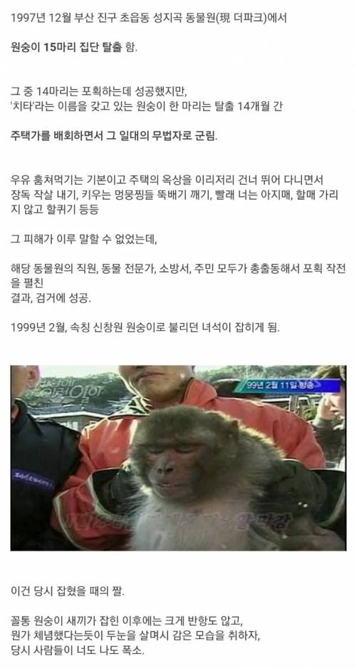 sm_a4de2240a9bfb985c3bc0fee6591b96f.jpg